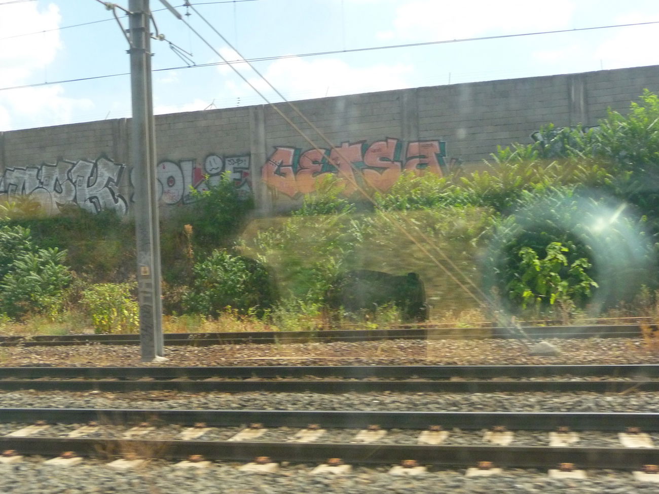 Graffiti Bombing - Photo by strasbourgraffiti