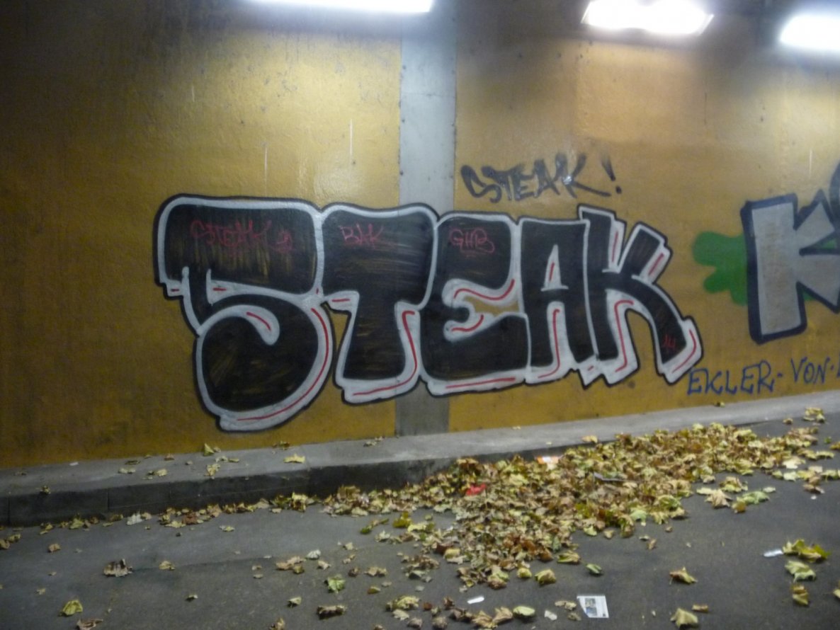 Graffiti Bombing - Photo by strasbourgraffiti (2014)