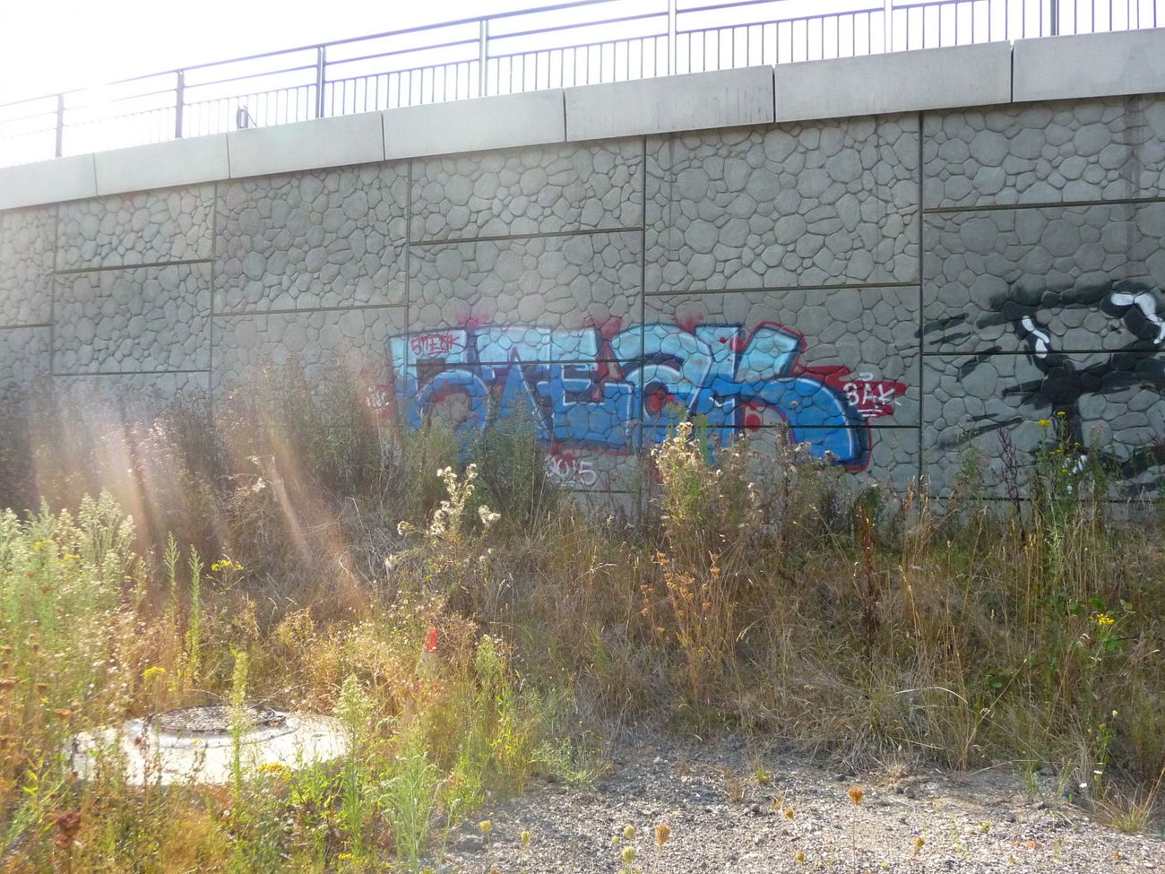 Graffiti Bombing - Photo by strasbourgraffiti