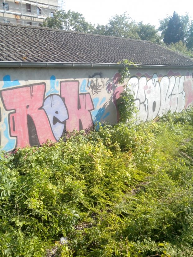 Graffiti Bombing - Photo by strasbourgraffiti