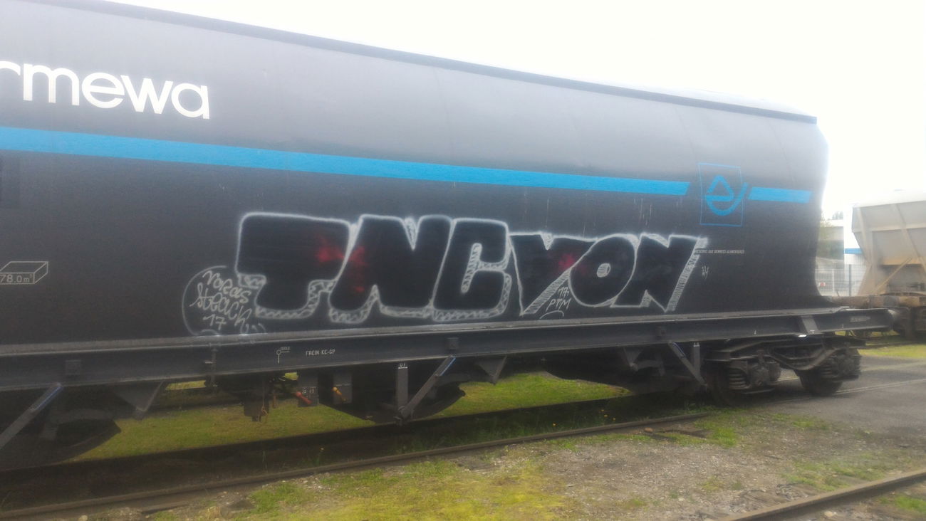 Graffiti Train - Photo by strasbourgraffiti