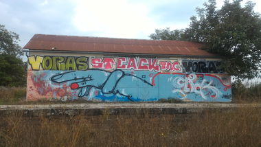 Graffiti Bombing - Photo by strasbourgraffiti