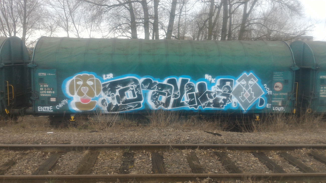 Graffiti Train - Photo by strasbourgraffiti
