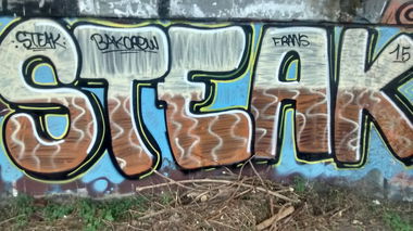 Graffiti Bombing - Photo by strasbourgraffiti