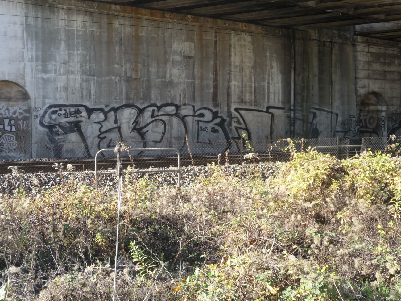 Graffiti Bombing - Photo by strasbourgraffiti