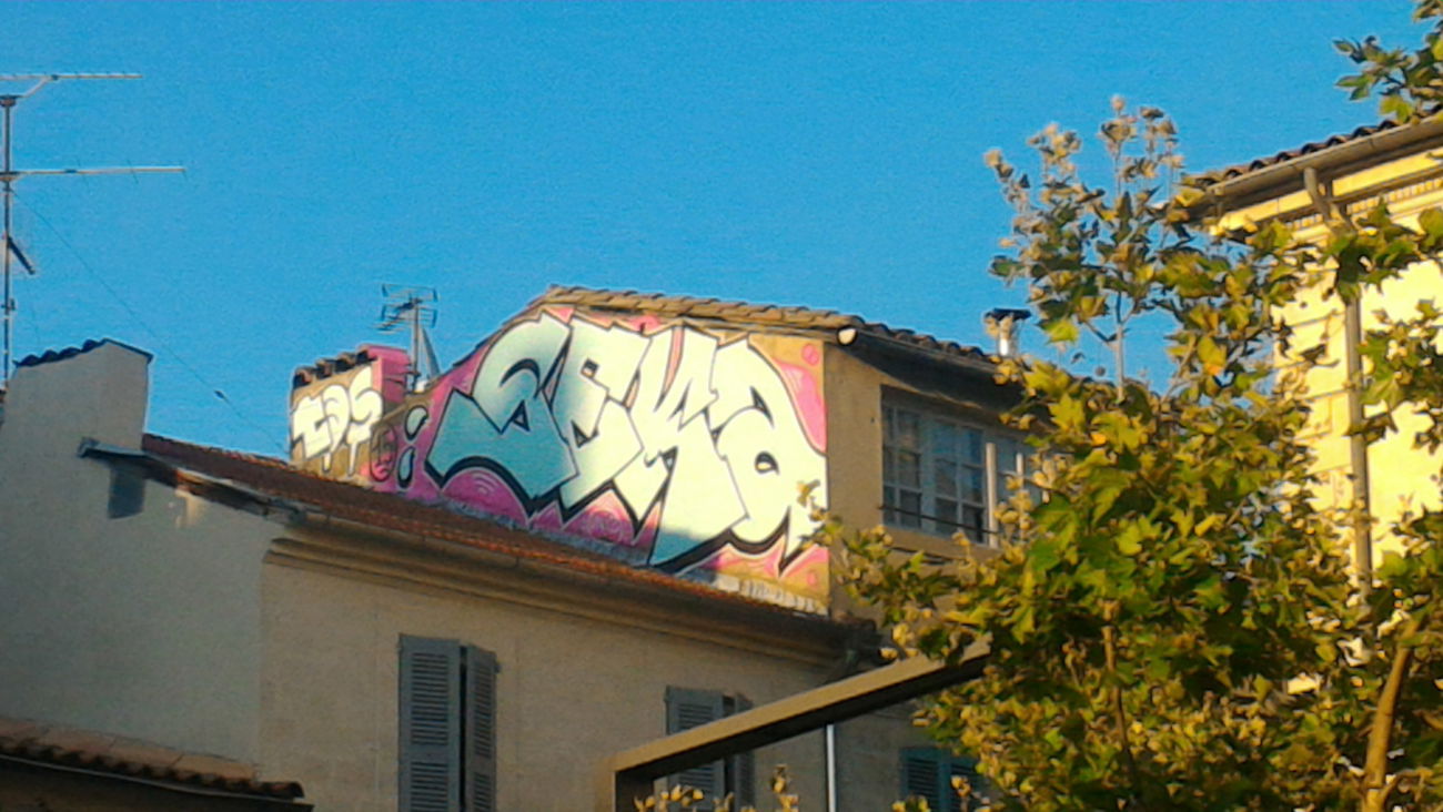 Graffiti Bombing - Photo by strasbourgraffiti