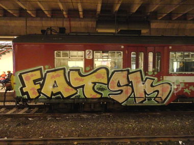 Graffiti Train - Photo by strasbourgraffiti