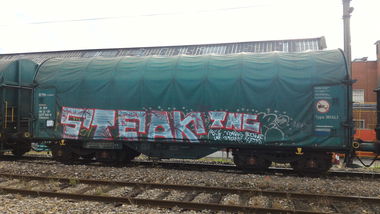 Graffiti Train - Photo by strasbourgraffiti