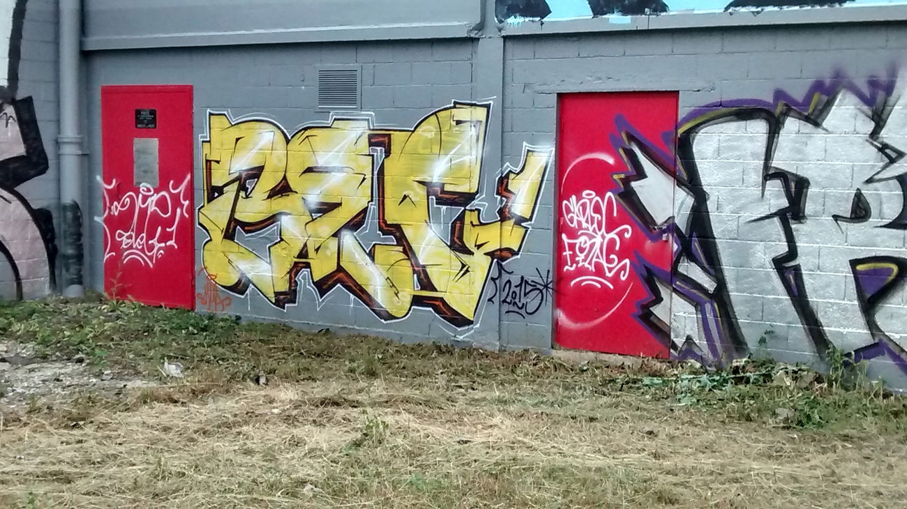 Graffiti Bombing - Photo by strasbourgraffiti