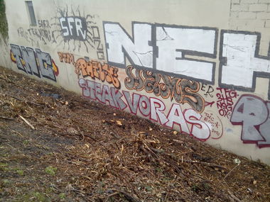 Graffiti Bombing - Photo by strasbourgraffiti