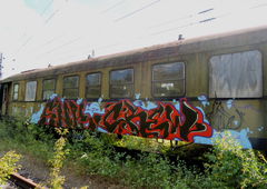 Photo #51498 by DISOE