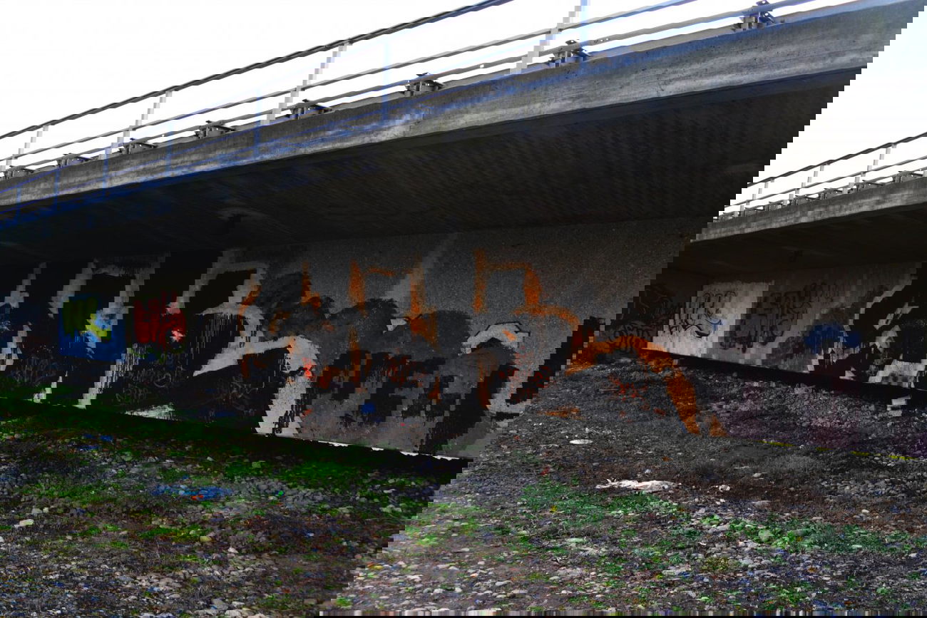 Graffiti Bombing - Photo by streetfiles - snk