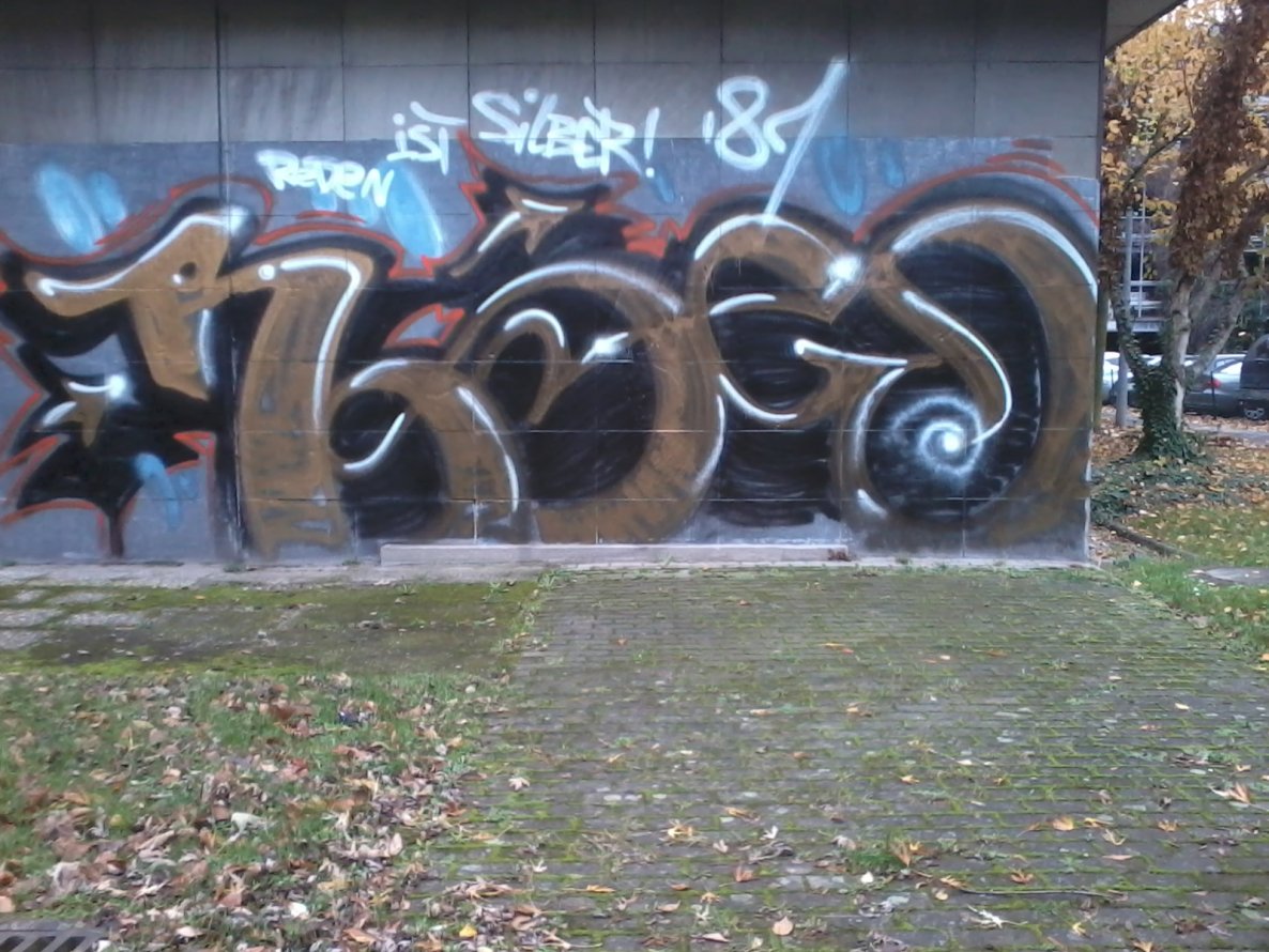 Graffiti Bombing in Mainz - Photo by streetpsycho - rodeo, mainz, dm (2013)