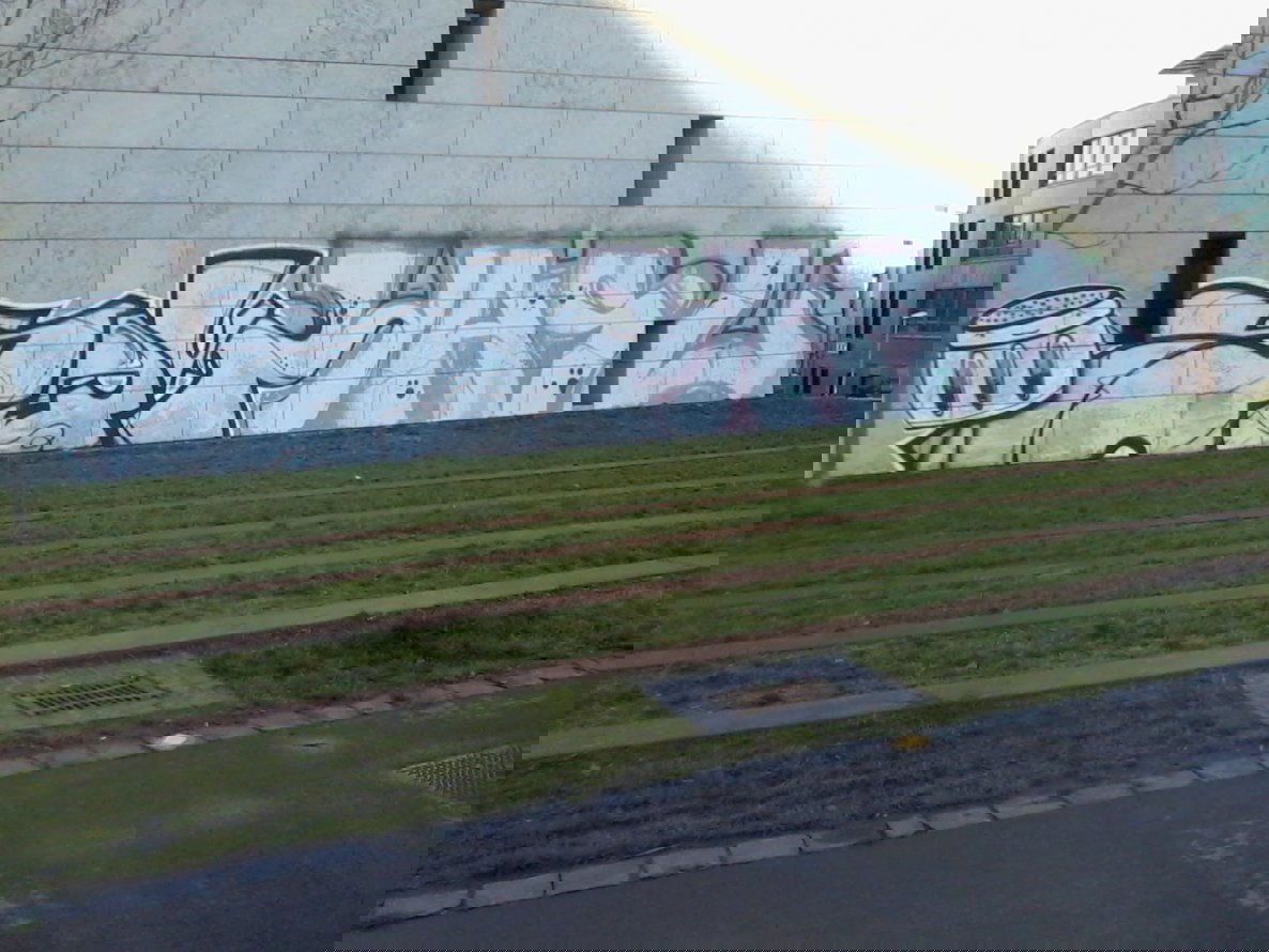 Graffiti Bombing - Photo by streetpsycho - Salt, GWZ, Mainz