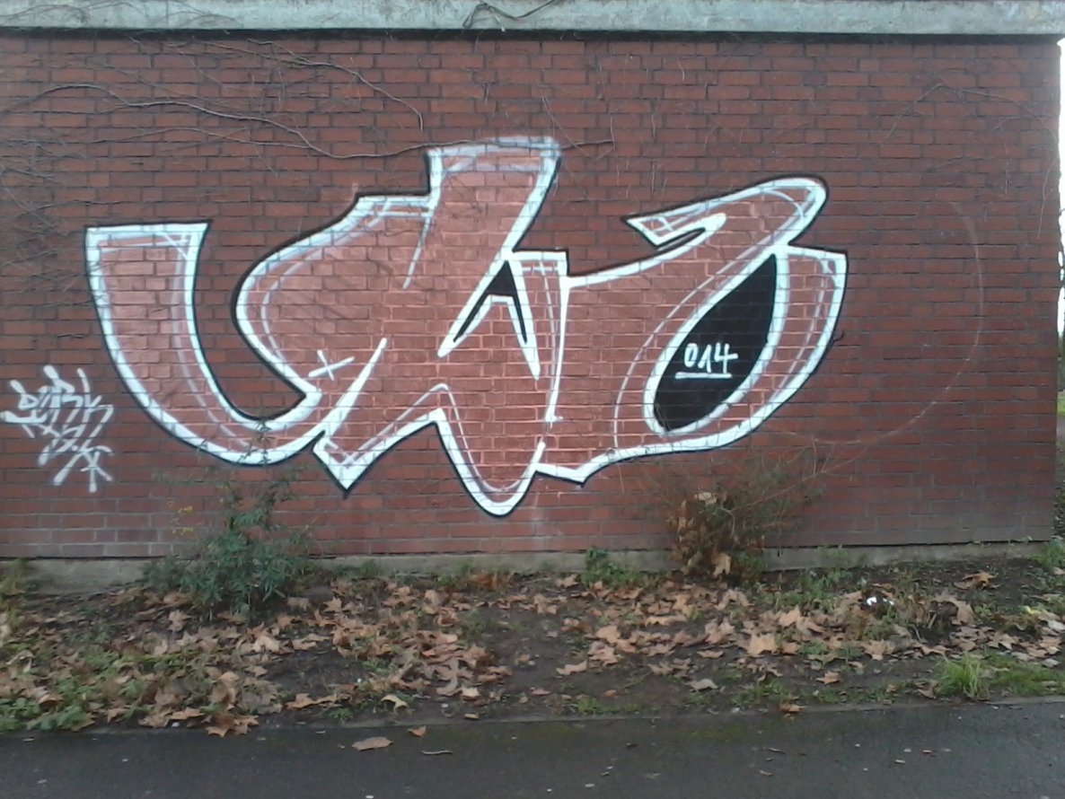 Graffiti Bombing - Photo by streetpsycho - gwz, mainz