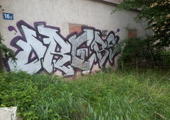 Photo #88825 by whonift