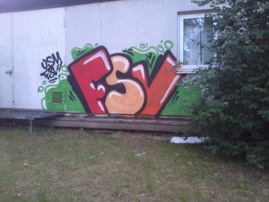 Graffiti Wall - Photo by streetpsycho - FSV, USM, Ultras