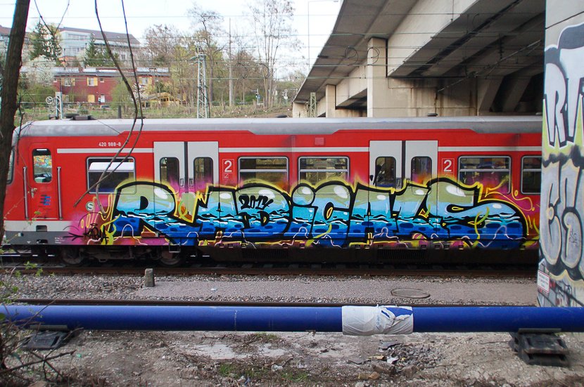 Graffiti Train - Photo by stuttgart0711 - radicals, karma, sbahn (2013)