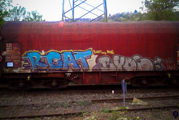 Graffiti Train - Photo by stuttgart0711 - rcat, byos, cargo (2009)