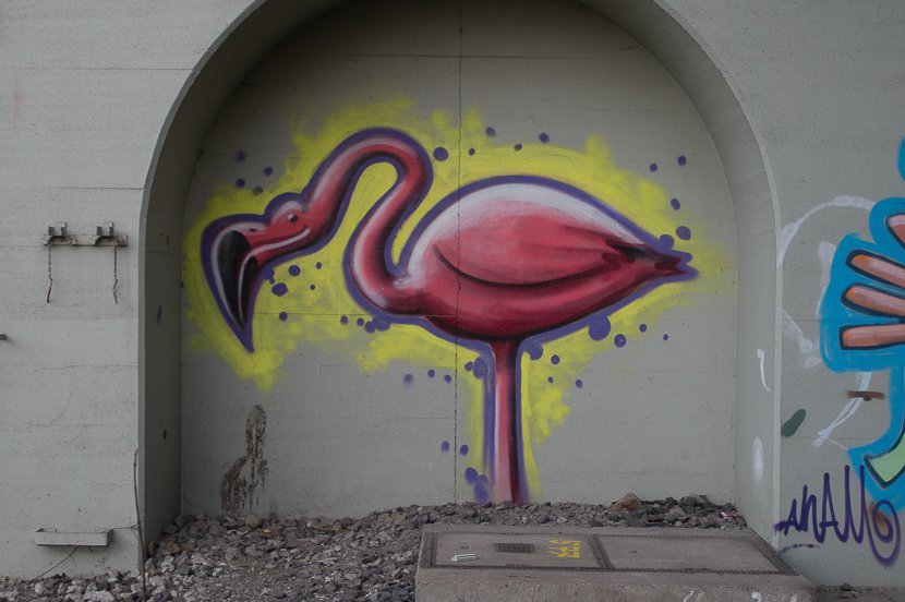 Graffiti Wall - Photo by stuttgart0711 - flamingo, streetart, trainline (2013)