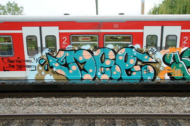 Graffiti Train - Photo by stuttgart0711 - dee, a?s, sbahn (2014)