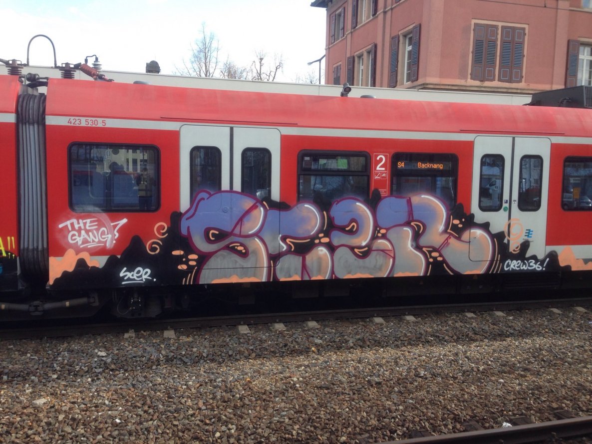 Graffiti Train - Photo by stuttgart0711 - scer, c36, stuttgart (2015)