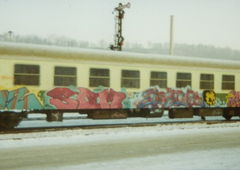 Photo #191470 by Belt