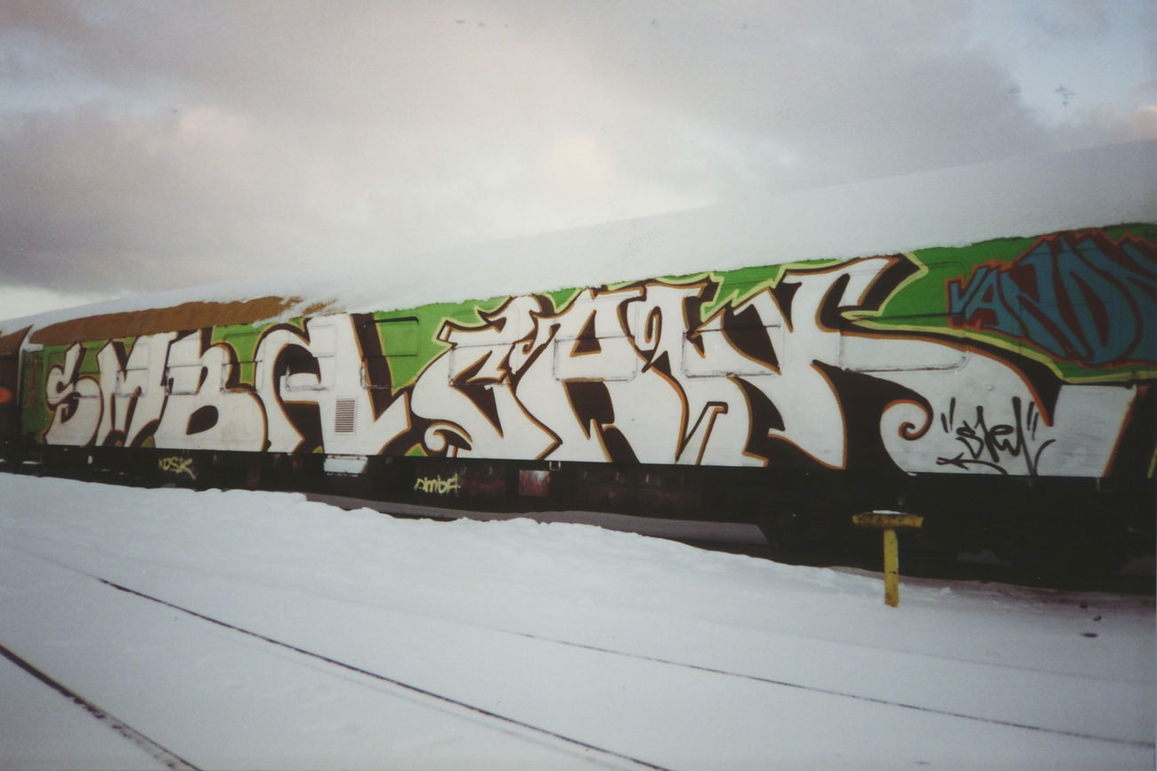 Graffiti Train - Photo by suburban - SMBA, CAM, VANDALS (2001)