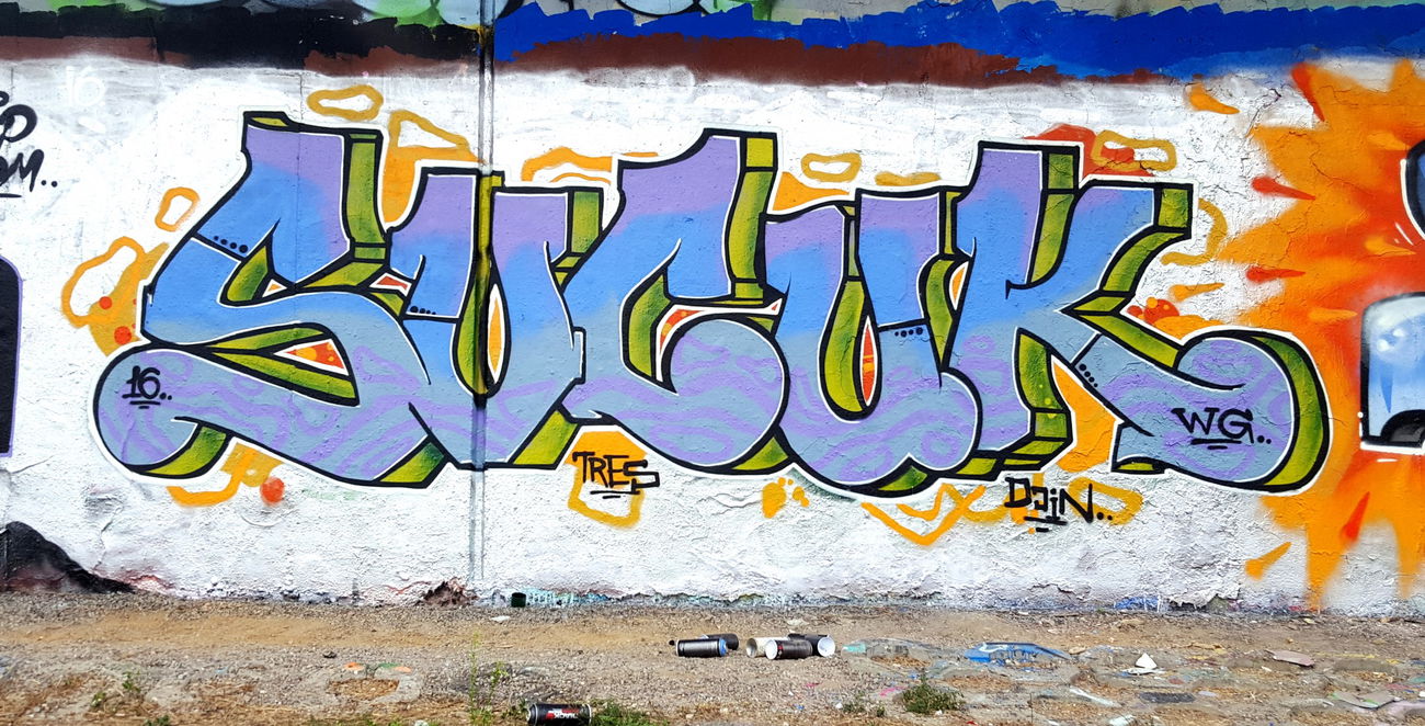 Graffiti Wall - Photo by sucuk237 - sucuk, wg, wsly (2016)
