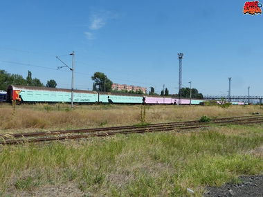 Graffiti Train in Bratislava - Photo by sunsnv - wholetrain, train, slovakia (2013)