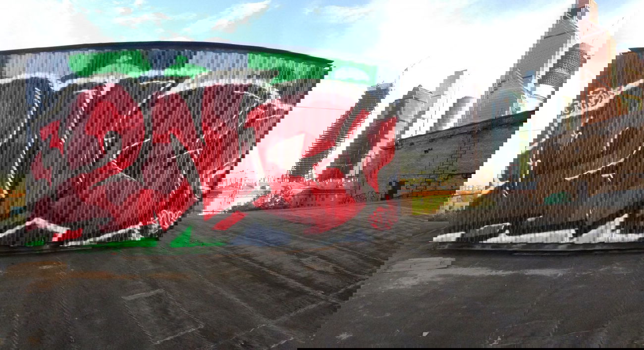 Graffiti Bombing - Photo by suwock