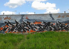 Photo #180045 by Gator