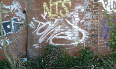 Graffiti Artwork - Photo by taggman143