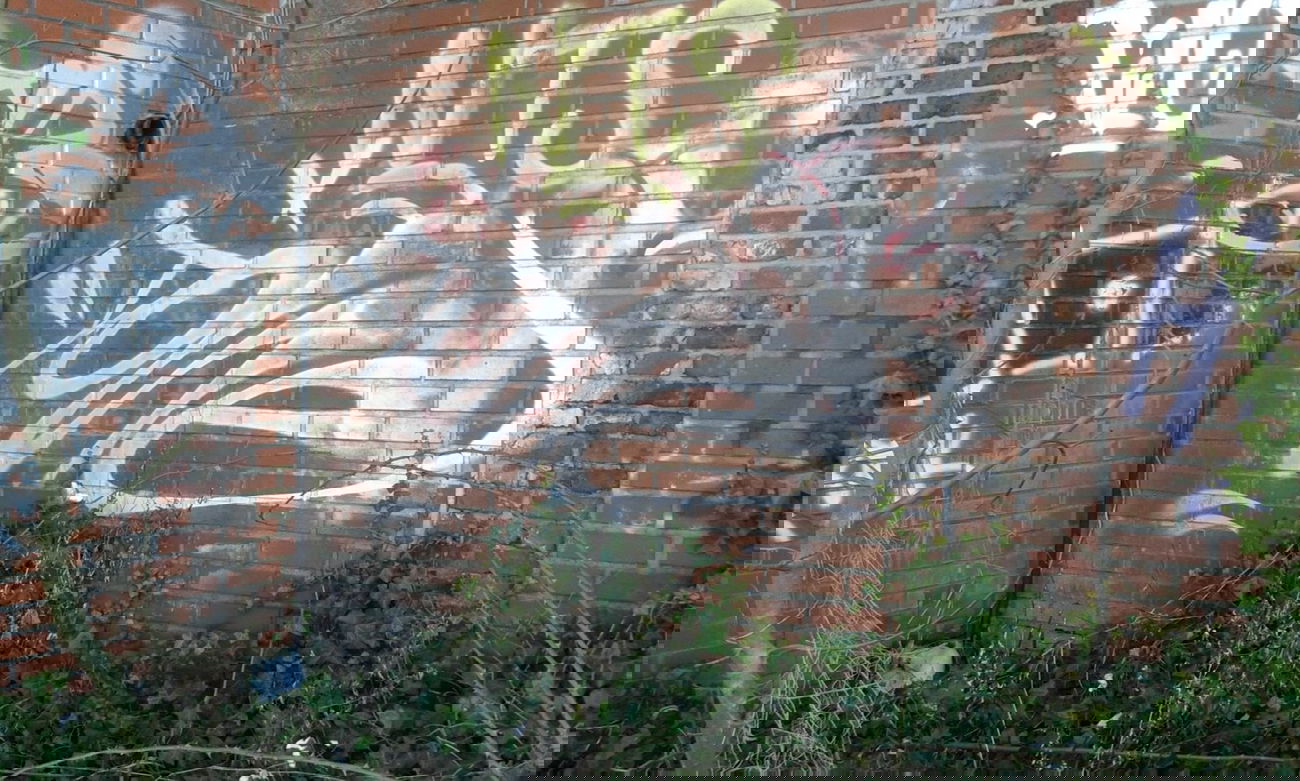 Graffiti Artwork - Photo by taggman143