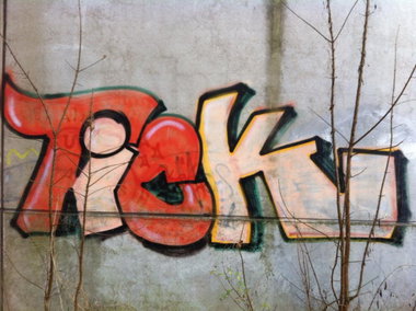 Graffiti Bombing - Photo by taggman143