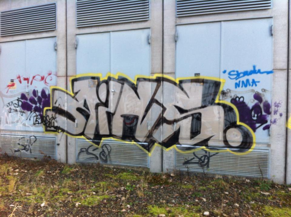 Graffiti Bombing - Photo by taggman143