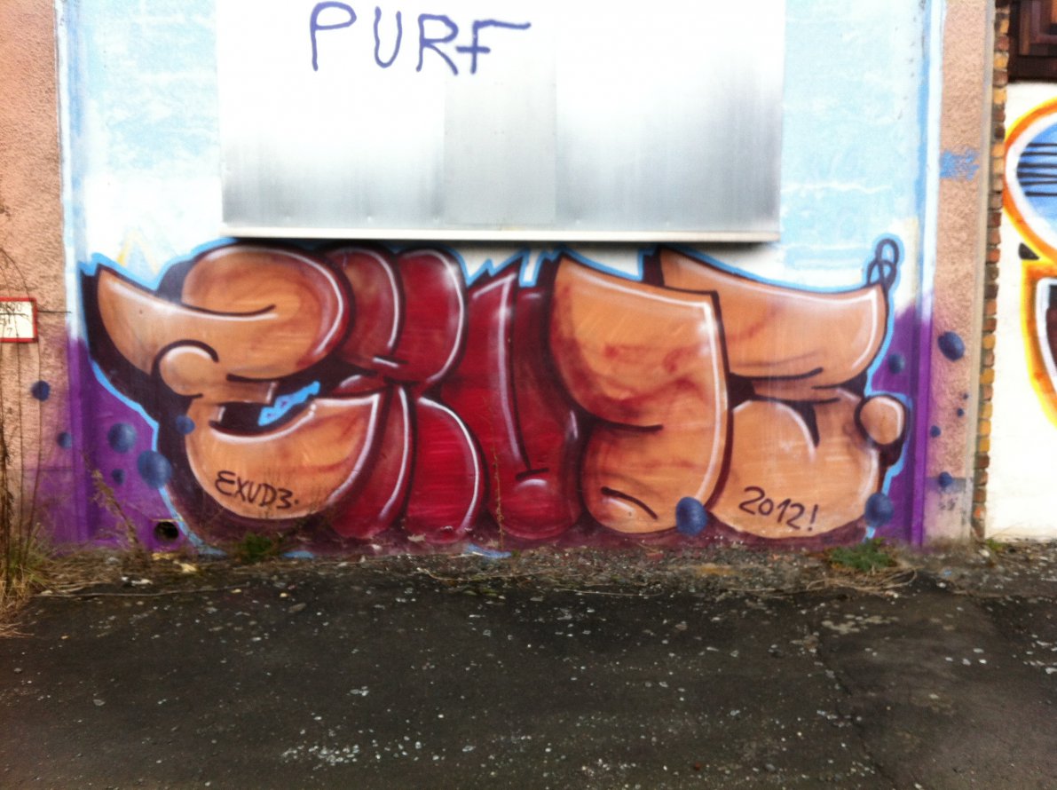 Graffiti Bombing - Photo by taggman143