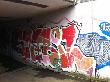 Graffiti Bombing - Photo by taggman143