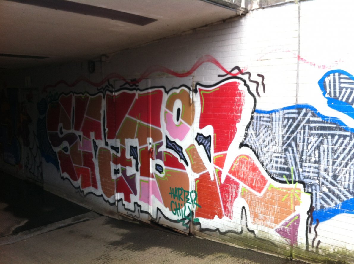 Graffiti Bombing - Photo by taggman143