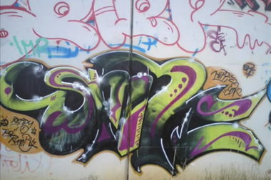 Graffiti Bombing - Photo by taggman143