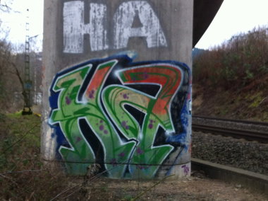 Graffiti Bombing - Photo by taggman143