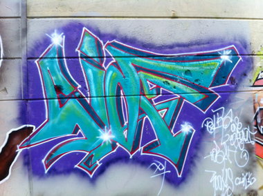 Graffiti Bombing - Photo by taggman143