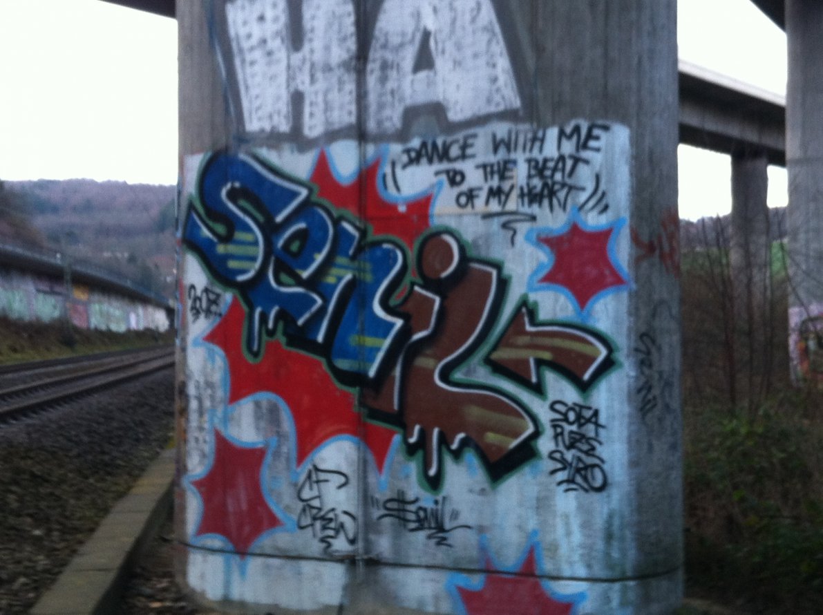 Graffiti Bombing - Photo by taggman143