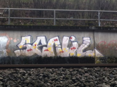 Graffiti Bombing - Photo by taggman143