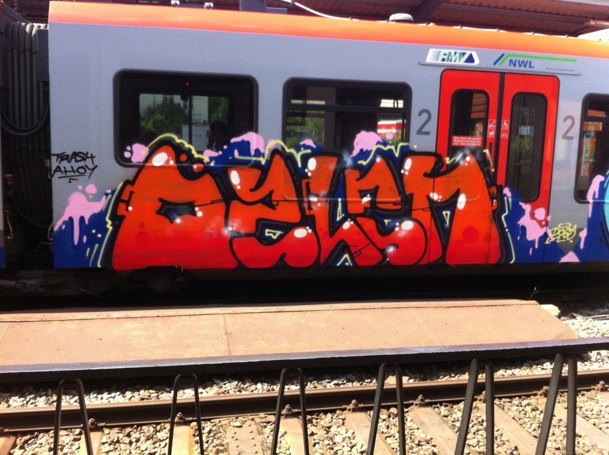 Graffiti Train - Photo by taggman143