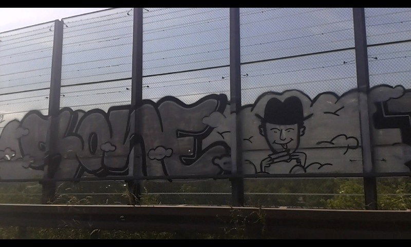 Graffiti Bombing - Photo by taggman143