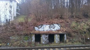 Graffiti Bombing - Photo by taggman143