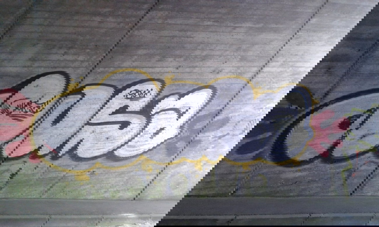 Graffiti Bombing - Photo by taggman143