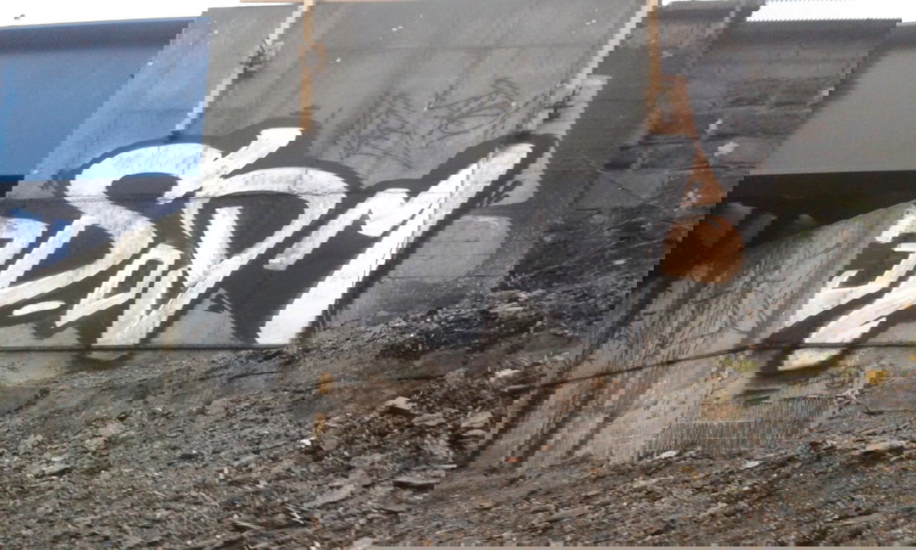 Graffiti Bombing - Photo by taggman143