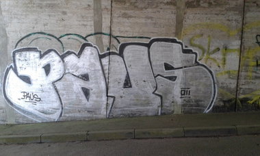 Graffiti Bombing - Photo by taggman143